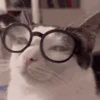 plinKnerd