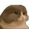 CatNum