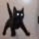 omg