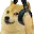 gamer_Doge