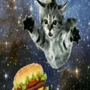 cat_burger