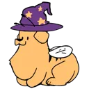 wizardbeedog