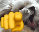 HAH