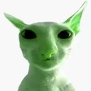 zib
