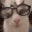 nerm