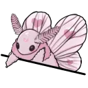 PinkBratMoth