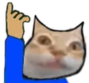 IHaveAnErmgi
