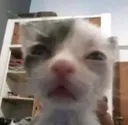 HHHHHHHHHHHHHHHHHHH HHHHHHHHHHHHHHHHHHH