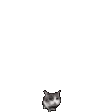 CatBrickDeflect CatBrickDeflect