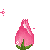 RoseBloom