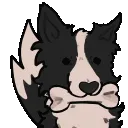 cl_SE_stim_collie_wag