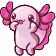 axodance