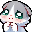 catsenShy catsenShy