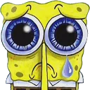sadsponge