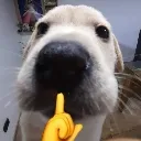 shh_emoji shh_emoji