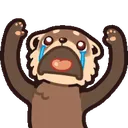 YarrWhy