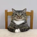 serious serious