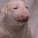 emoji_3
