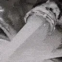 5093cum
