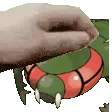 yanmegapet