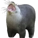 OtterAAAAAAAAAAAAAAH OtterAAAAAAAAAAAAAAH