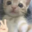 helloekitten