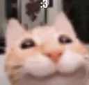3_