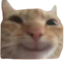 catsmile