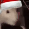 RatJamX RatJamX