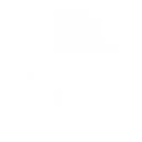 JOJOLIONS