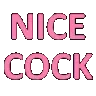 TO_NiceCockFlashy