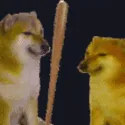 bonk