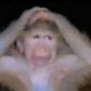 monkey_ohgod Discord emoji