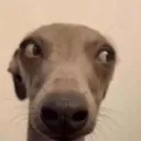 ik_whatyouare ik_whatyouare