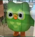 Duolingo