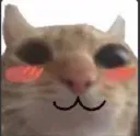 uwu
