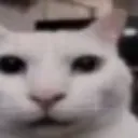 wtfbro