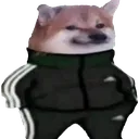SlavDoge