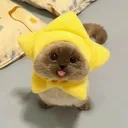 emoji_20