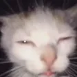 ayyybuWha