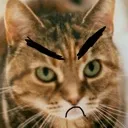 thoroughlyunimpressed