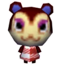 Pecan_Stare
