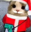 elgatochristmas