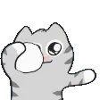 catsnowball