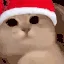 uwu