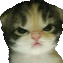 angwy Discord emoji