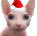 christmas_stare