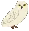 asnowyowl