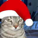 xmas_ponder