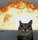 BOMB